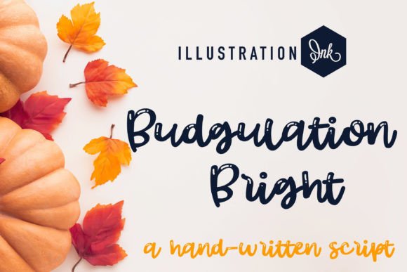 Budgulation Font: Magical Script for Digital Design