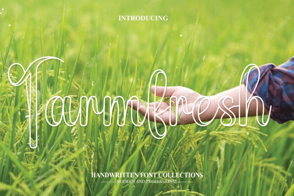 Farmfresh Font Review
