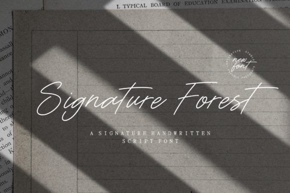 Signature Forest Font Review