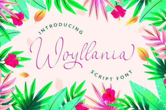 Woyllania Font Review